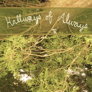 Halfways of always